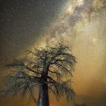 Lire la suite à propos de l’article Astrologie : lien entre ciel et terre