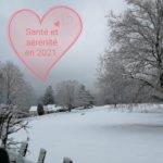 Lire la suite à propos de l’article Bonne année 2021…..