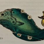 Lire la suite à propos de l’article Nouvelle lune du 2 mars 2022 à 13° Poissons