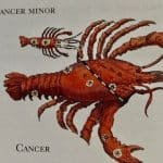 Lire la suite à propos de l’article Nouvelle lune à 8° Cancer le 29 juin 2022 à 4h53