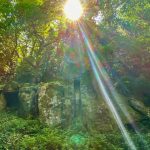 Lire la suite à propos de l’article Pleine lune du 3 mars 2026 « éclipse totale de sang » au noeud Sud à 13°Vierge/Poissons